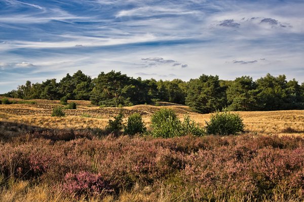 Où peut-on faire du glamping dans les Landes en haute saison ?