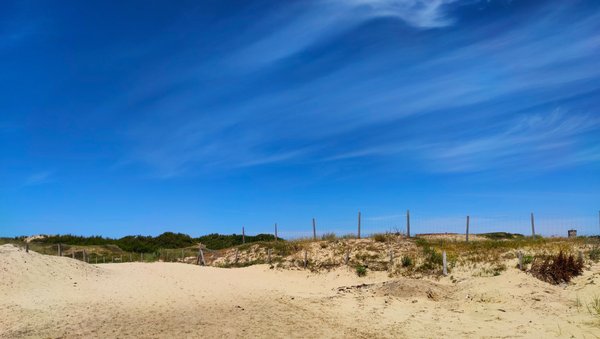 Les meilleurs campings dans les Landes