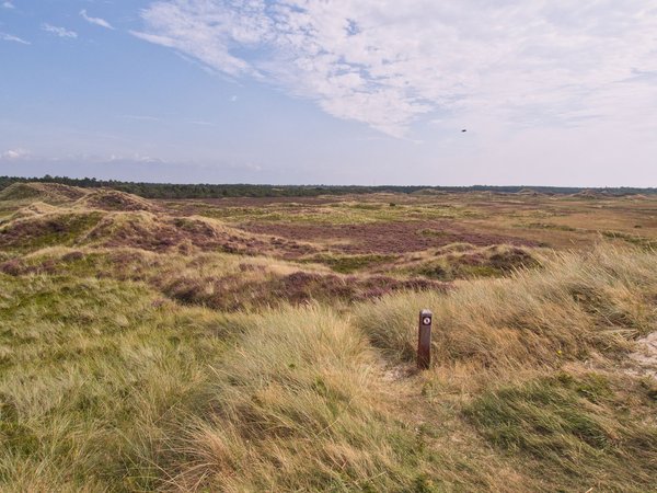 Que faire dans les Landes en famille durant les vacances d'été ?