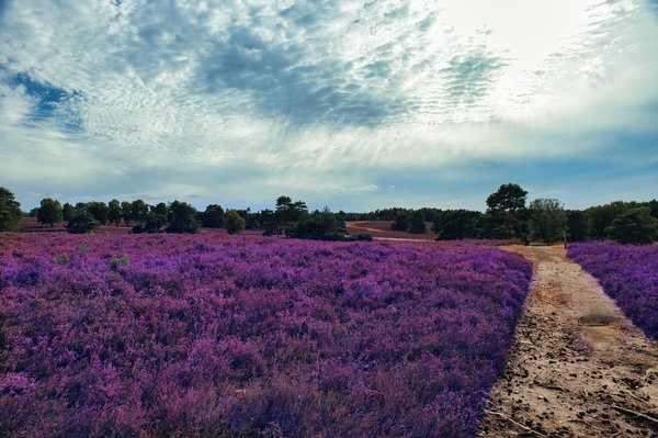 Camping 3 étoiles dans les Landes
