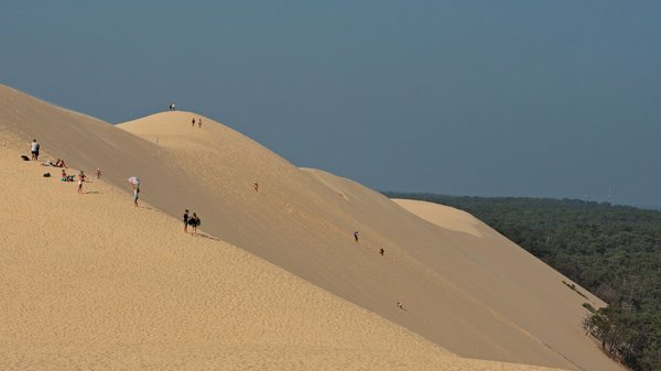 Camper dans les Landes